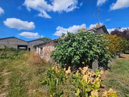 vente maison 5 pièces 113 m² neuvicq (17270)