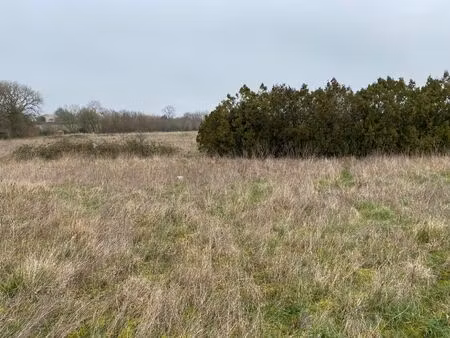 vente terrain 404 m² beurlay (17250)