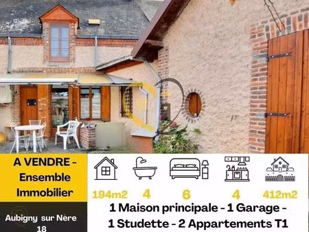 vente maison 194 m² aubigny-sur-nère (18700)