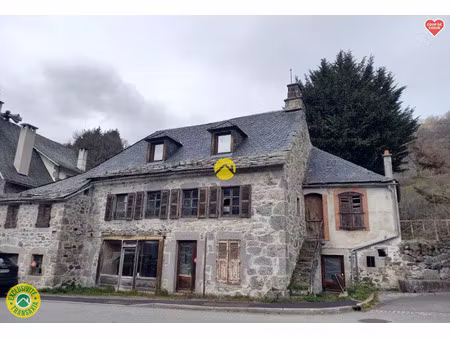vente maison 8 pièces 150 m² murat (15300)