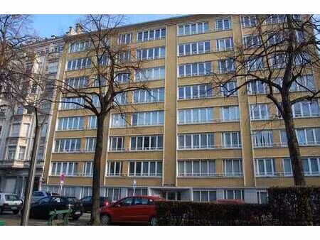 appartement 100 m2 à louer