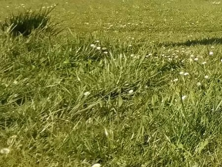 vente terrain 616 m² périgueux (24000)