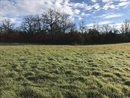 terrain constructible à vendre