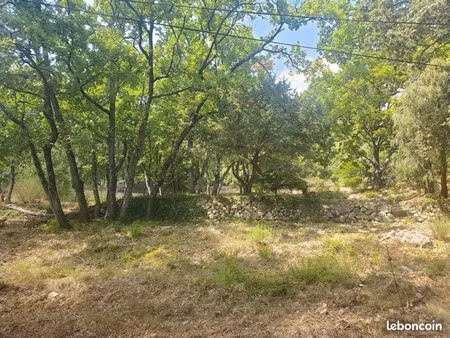 terrain boisé non constructible