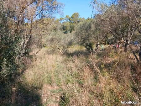 terrain 1 113 m² carnoules