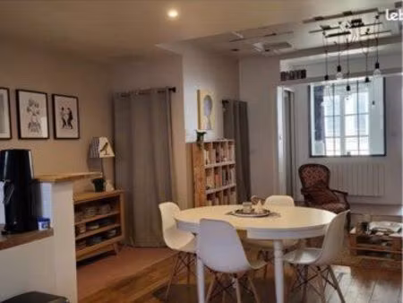 superbe studio - quai de saône - direct particulier - meublé