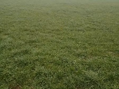 dône terrain a entreniir