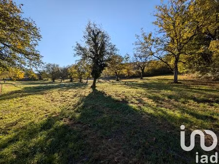 vente terrain 20220 m² meyssac (19500)