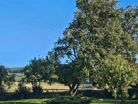 chercher terrain verger