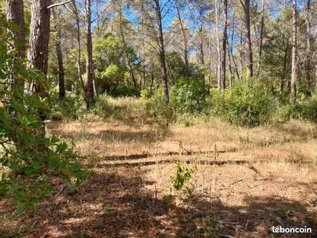 terrain 1 200 m² bagnols en foret