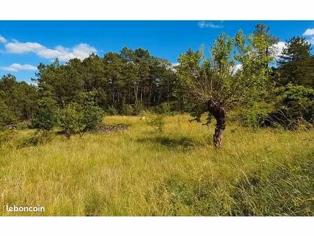 terrain 1 140 m² chambonas