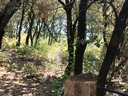 terrain a villardonnel