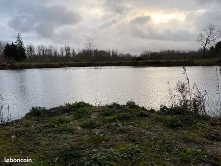 terrain 2 8 hect + hutte