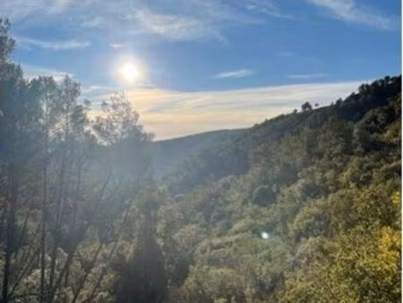 terrain de chasse ou loisir