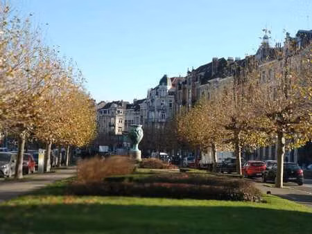 studio rénové à louer !