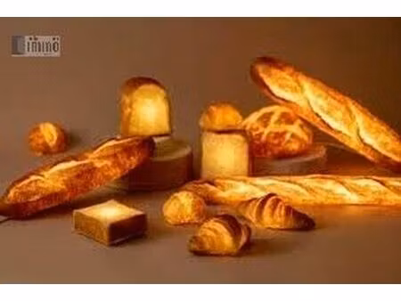 vente local industriel 2 pièces saintes (17100)