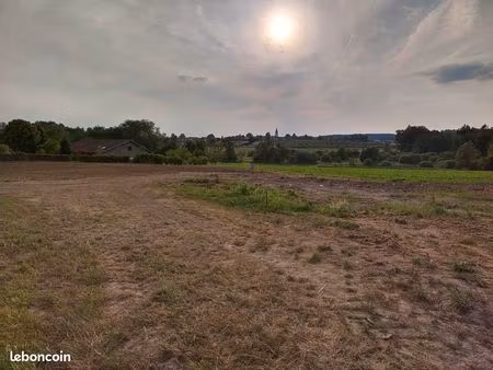 terrain 2607m2 viabilisé – 68 000 – droit à bâtir jusqu'à 700 m² hab – hadol
