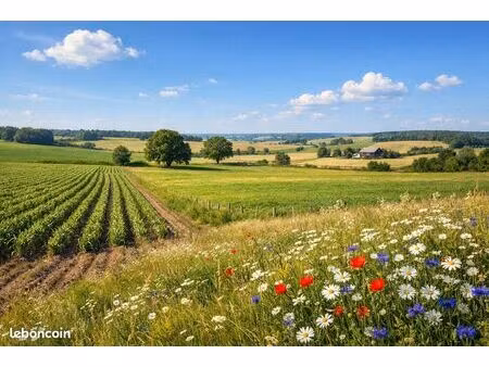 recherche terrain agricole