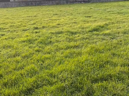 terrain constructible 900 m2