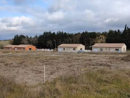 terrain constructible