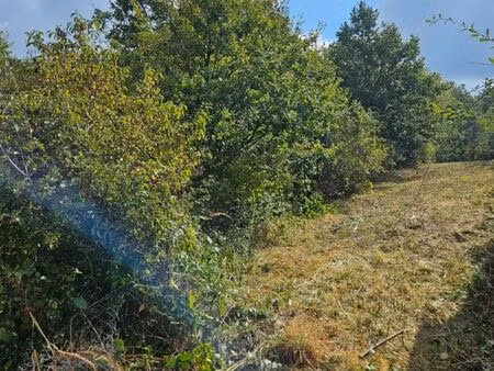 terrain 990m2 domerat