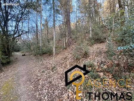 terrain 6355 m² vals les bains