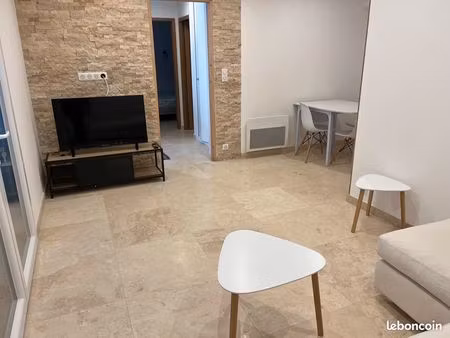 appartement meublé  rénové avec jardinet et terrasse