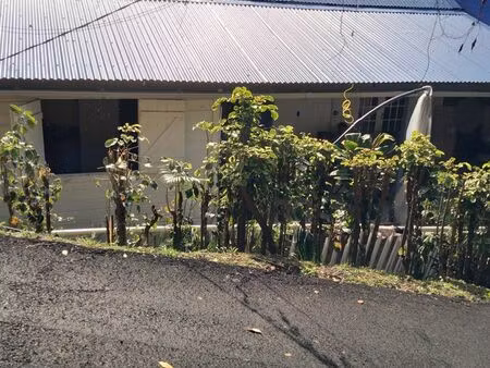 villa 4 pièces à louer à caféière deshaies