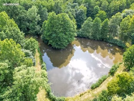 terrain 25 000 m² girondelle