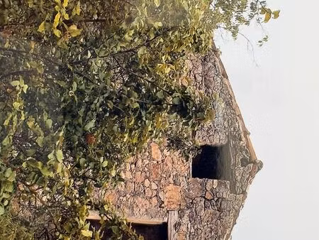 maison de vigne terrain