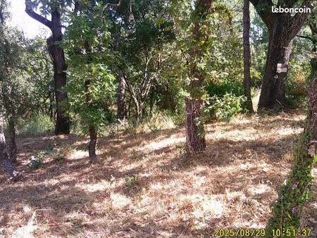 terrain 1 200 m² les mayons