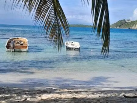 charmant appartement 2 pieces