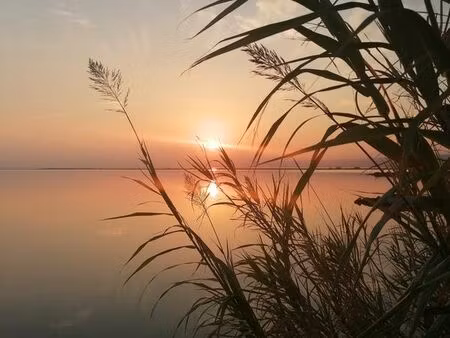 vente appartement port leucate