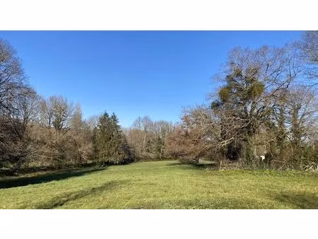 vente terrain 13000 m² chasseneuil-sur-bonnieure (16260)
