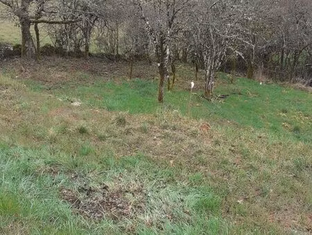 terrain a bâtir villefranche