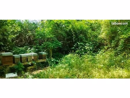 terrain de loisir entièrement arboré au bord du canal  avec cabanon
