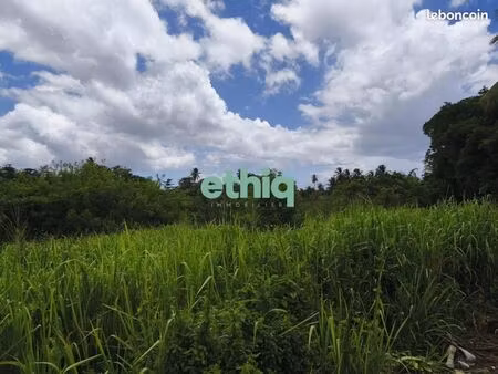 terrain 1 000 m² sainte rose