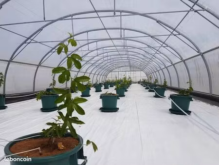 vend terrain agricole