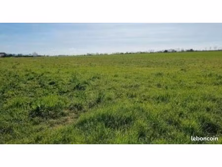 terrain 300 m² marans