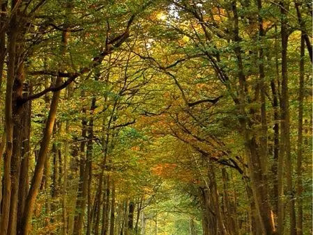 recherche terrain de loisir