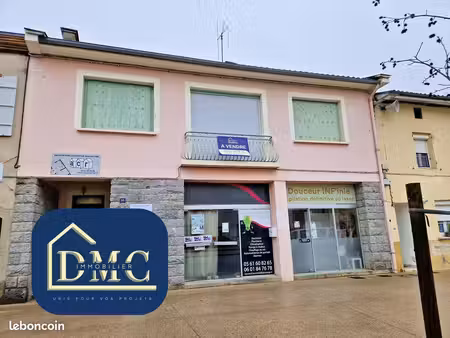 immeuble 273 m² saverdun