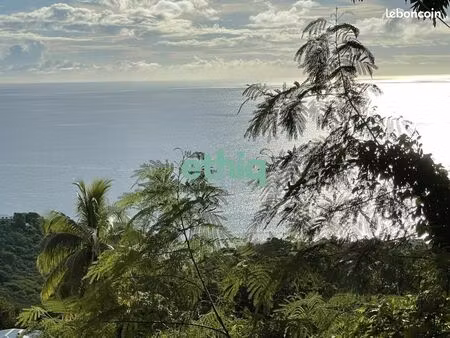 terrain 20 273 m² bouillante