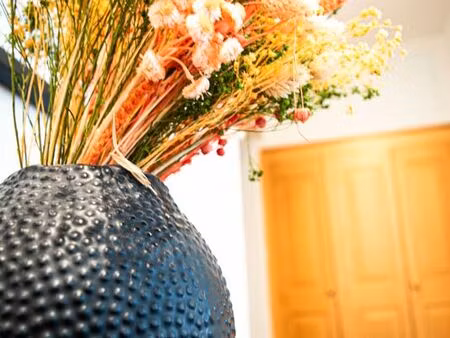 appartement d’exception 120 m² – hôtel de bonald classé – hyper-centre de rodez