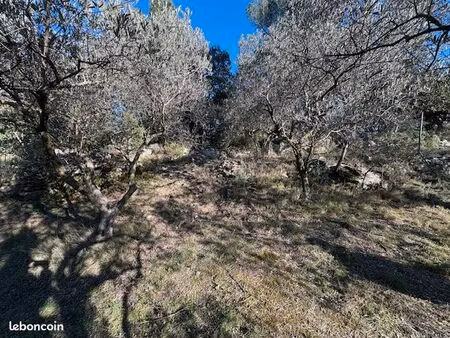 projet de construction en colline