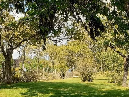 terrain constructible