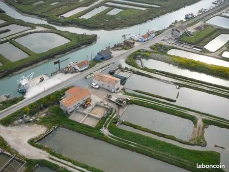 cabane ostréicole plus cabane de dégustation