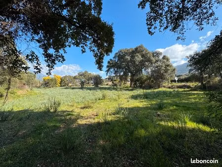 terrain plat entièrement viabilisé à 20 mn d'ajaccio