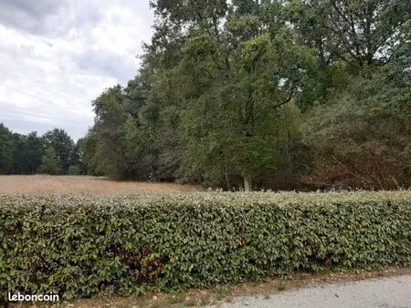 terrain 500 m² saint pardon de conques