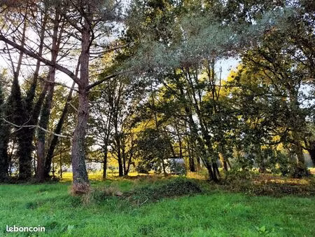 terrain 840 m² saint sauveur