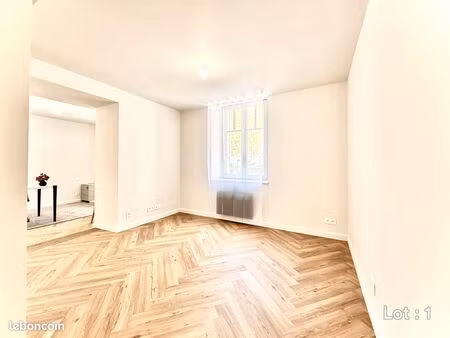 appartement ou local professionnel – 33 m² – rez-de-chaussée – centre-ville d’épinal